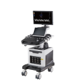 21.5 inch LED screen + 13.3 inch touch screen mobile medical ultrasound instruments system 4d ultrasound machine